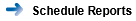ScheduledReport